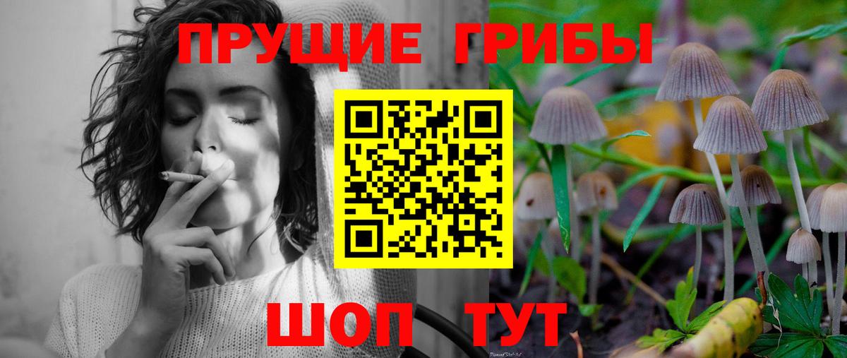 Галлюциногенные грибы GOLDEN TEACHER  Вход с VPN  Псилоцибиновые грибы ЛСД  Сегежа 